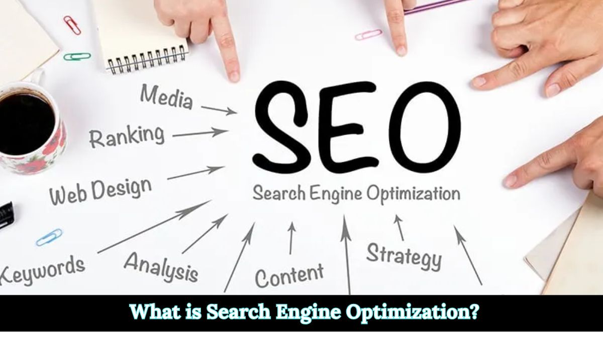 What is Search Engine Optimization